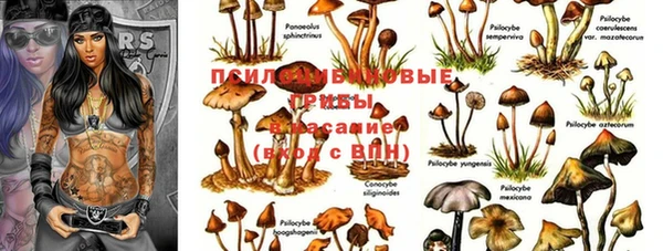 твердый Алексин