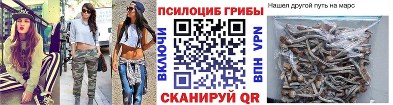 Купить где  Томск  Галлюциногенные грибы Psilocybe 