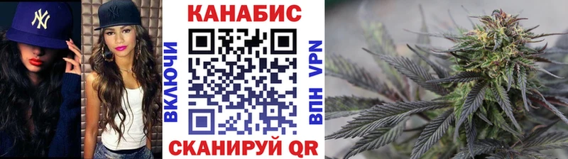 Купить закладки  Томск  Бошки марихуана план 